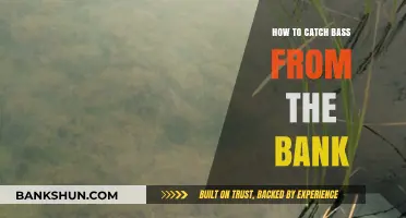 Master Bank Fishing: Proven Techniques to Catch Bass Easily