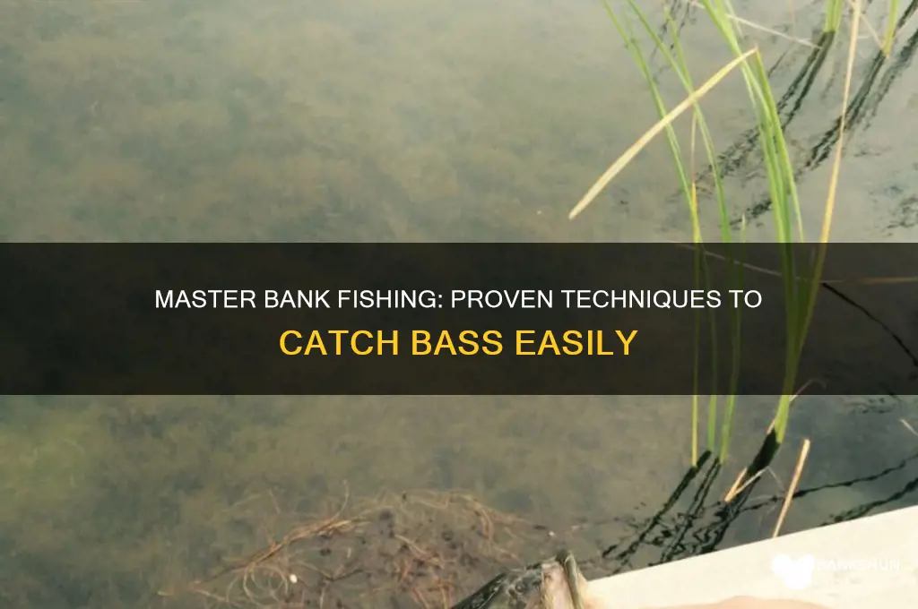how to catch bass from the bank