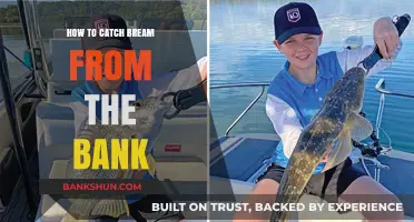 Master Bank Fishing: Proven Techniques to Catch Bream Easily
