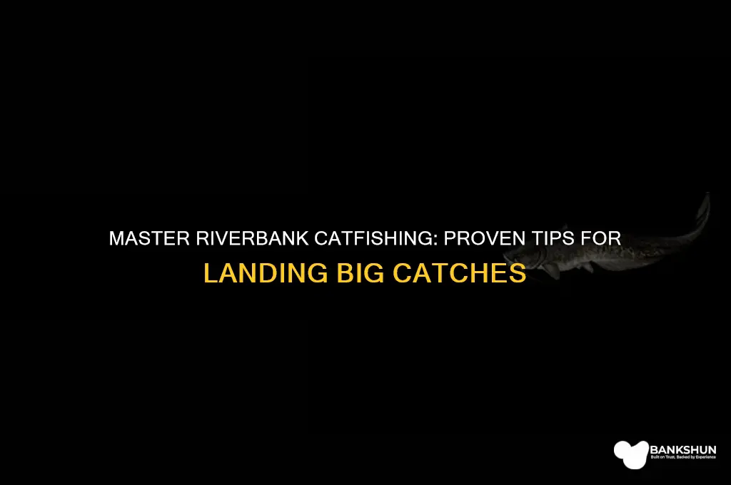 how to catch catfish from river bank