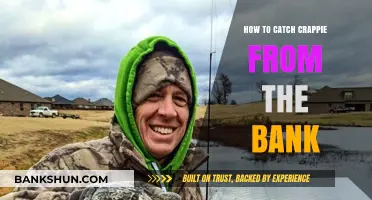 Catching Crappie from the Bank: Techniques and Strategies