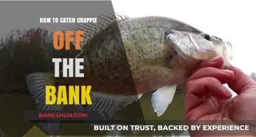 Master Bank Fishing: Proven Tips to Catch Crappie Easily