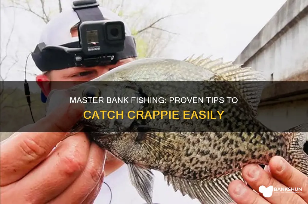 how to catch crappie off the bank