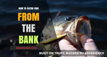 Master Bank Fishing: Proven Tips to Catch Fish Easily