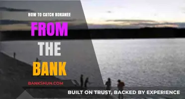 Master Bank Fishing for Kokanee: Proven Techniques and Tips