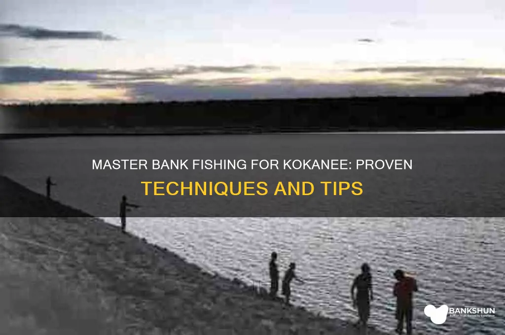 how to catch kokanee from the bank