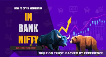 Mastering Bank Nifty Momentum: Strategies to Capture Profitable Trends