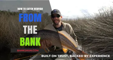 Master Bank Fishing: Proven Techniques to Catch Redfish Easily