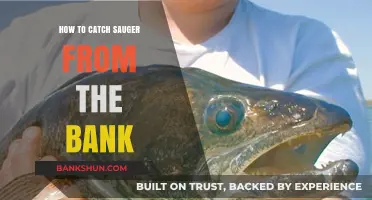 Master Bank Fishing: Proven Techniques to Catch Sauger Successfully