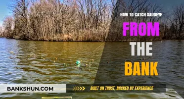 Master Bank Fishing: Proven Tips to Catch Saugeye Easily