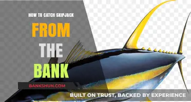 Master Bank Fishing: Proven Techniques to Catch Skipjack Tuna Easily