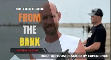 Master Bank Fishing: Proven Techniques to Catch Steelhead Easily