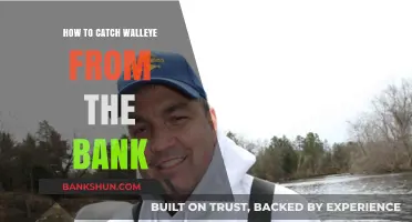 Master Bank Fishing: Proven Techniques to Catch Walleye Easily