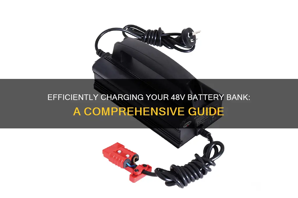 how to charge a 48v battery bank