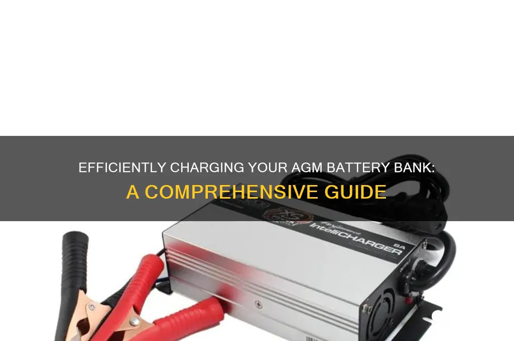 how to charge an agm battery bank