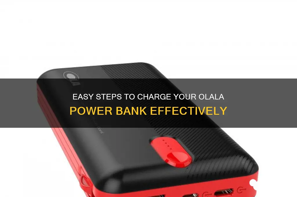 how to charge an olala charging bank