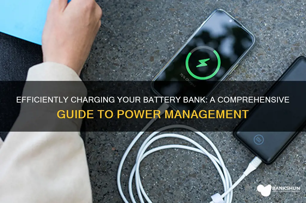 how to charge batteries in battery bank
