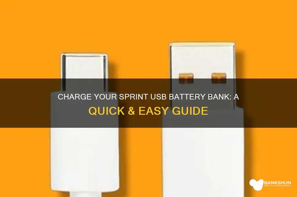 how to charge sprint usb battery bank