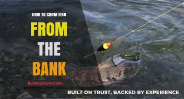 Master Bank Fishing: Effective Chum Techniques to Attract and Catch Fish