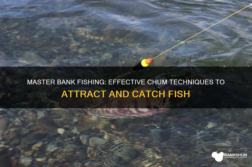 how to chum fish from the bank