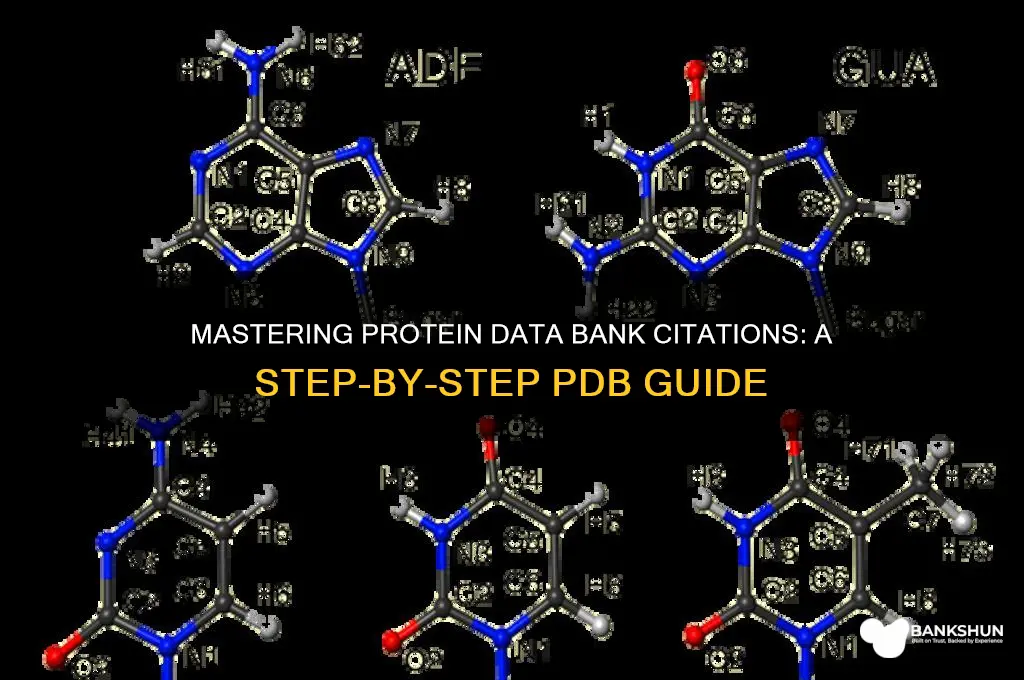 how to cite protein data bank pdb