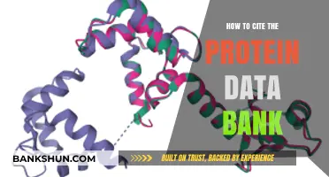 Mastering Citations: A Guide to Citing the Protein Data Bank