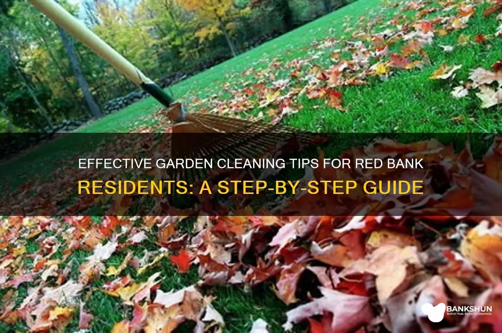 how to clean my garden red bank
