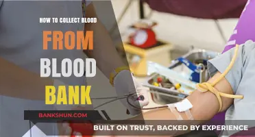 Efficient Blood Collection: A Step-by-Step Guide from Blood Banks