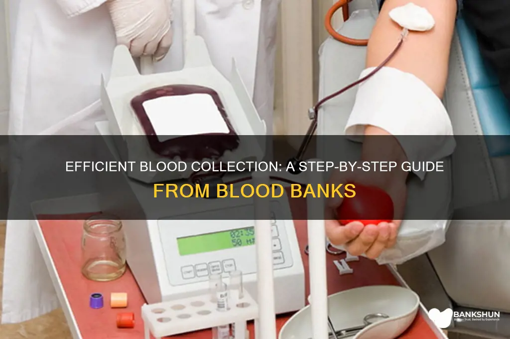how to collect blood from blood bank