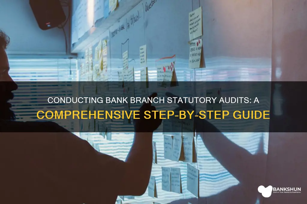 how to conduct bank branch statutory audit