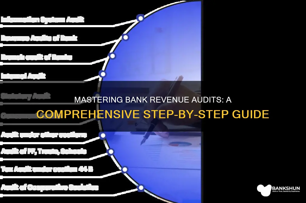 how to conduct revenue audit of bank