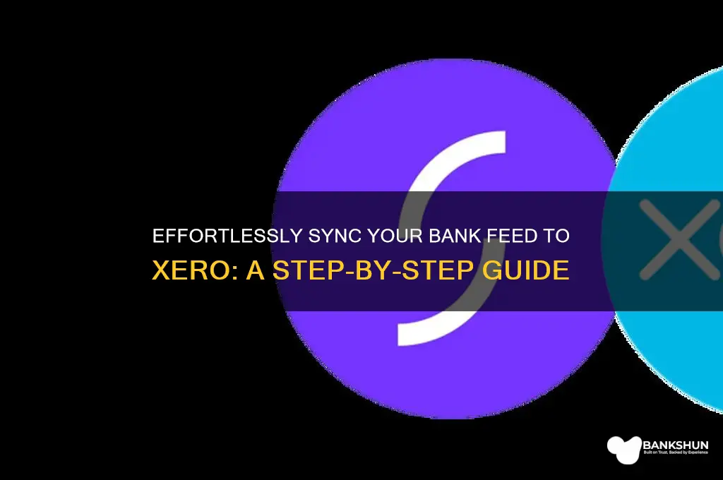 how to connect bank feed to xero