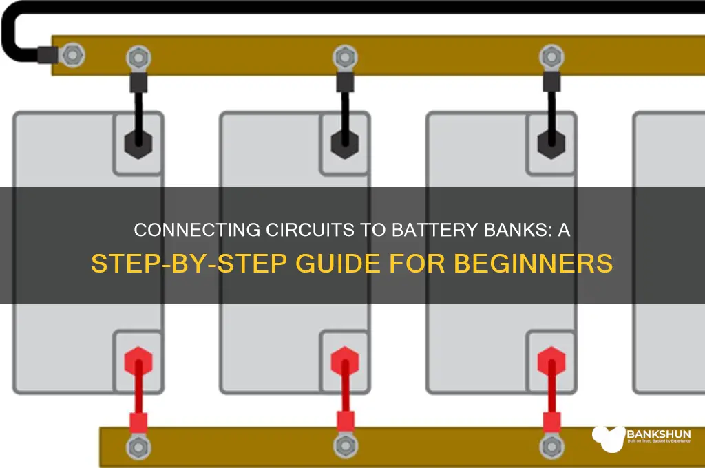 how to connect circuits to battery bank