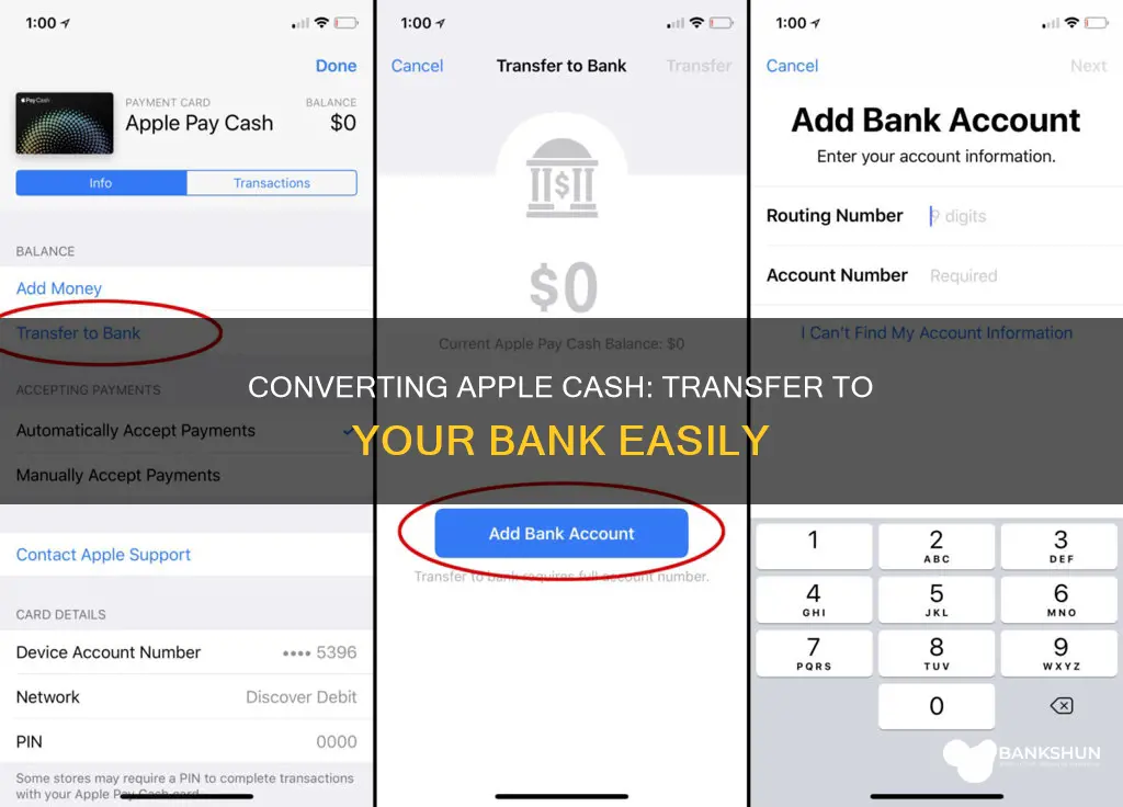 how to convert apple cash to bank