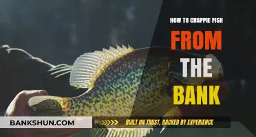 Crappie Bank Fishing: Tips and Tricks