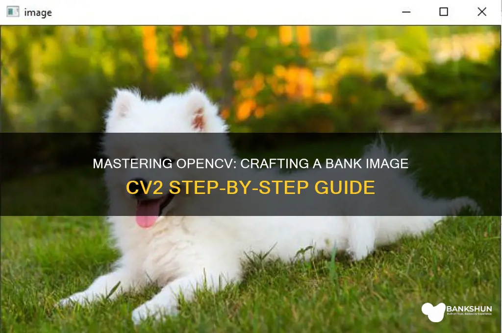 how to create a bank image cv2