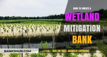 Creating Wetland Mitigation Banks: A Comprehensive Guide for Developers