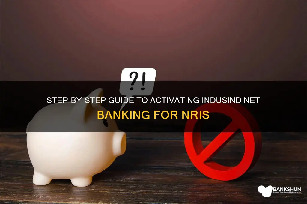 how to create indusind net banking nri