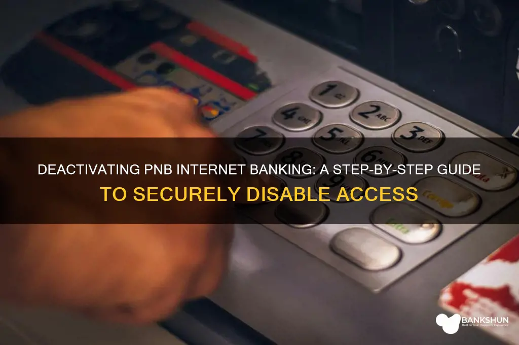 how to deactivate internet banking in pnb
