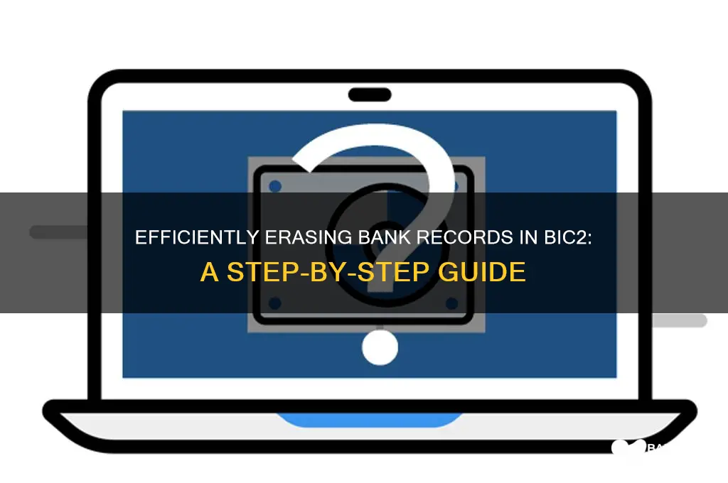 how to delete bank records in bic2