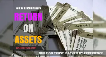 Understanding Bank Performance: A Guide to Describing Return on Assets