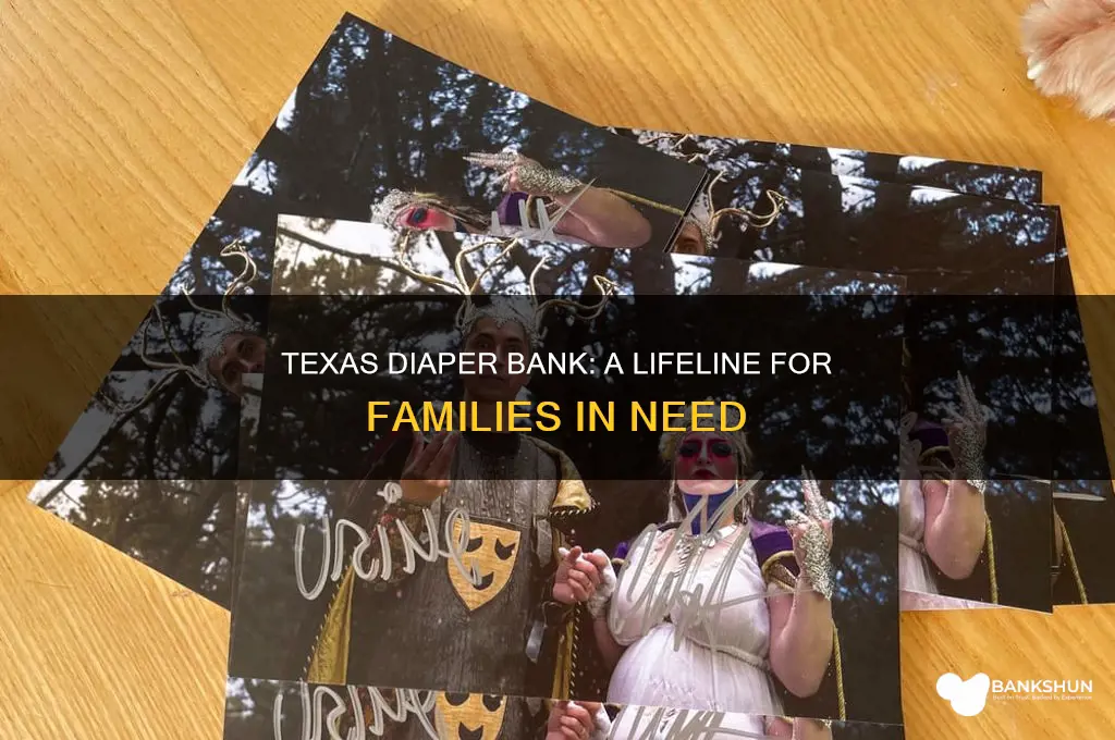how to describe the texas diaper bank