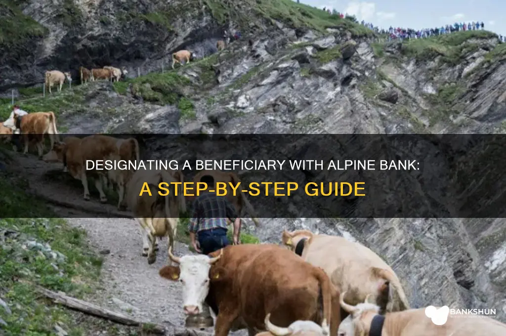 how to designate a beneficiary alpine bank
