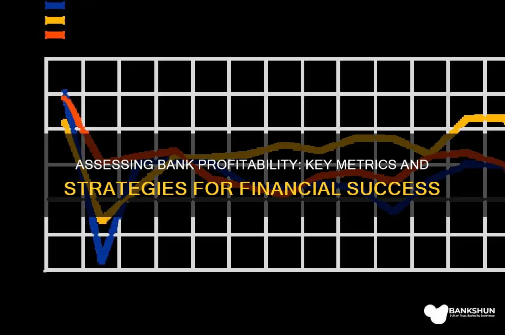 how to determine profitability of a bank