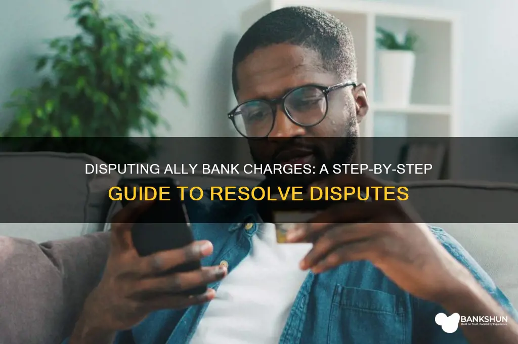 how to dispute a charge ally bank