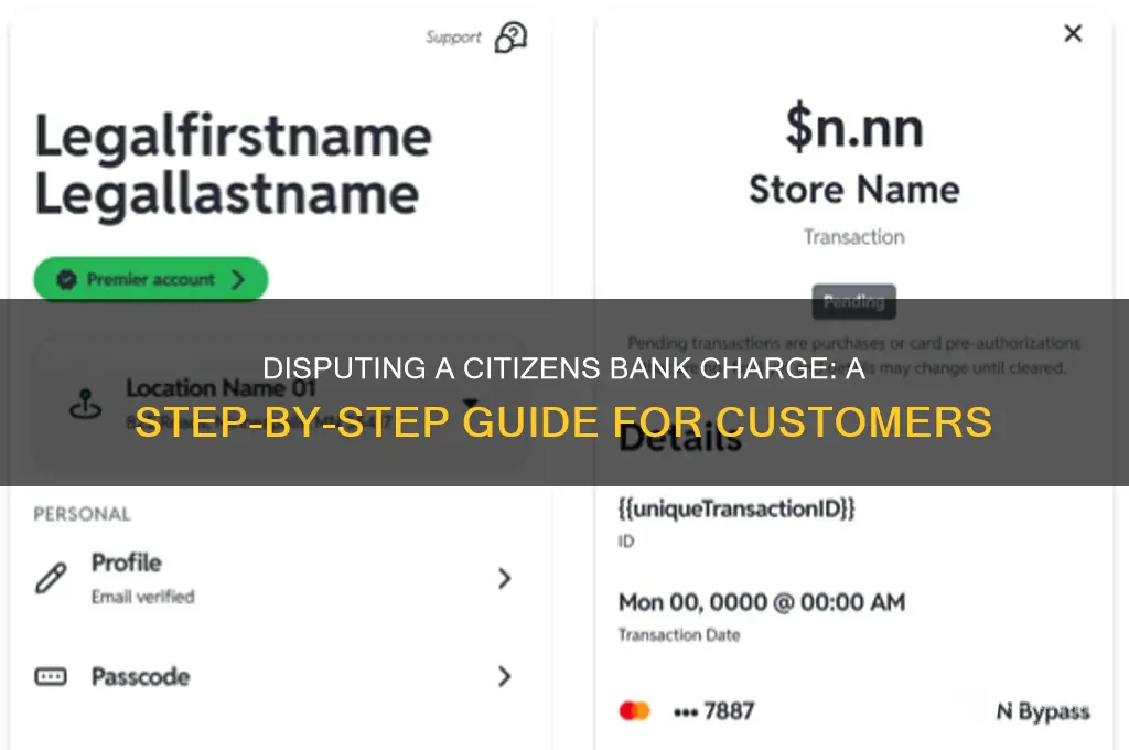how to dispute a charge citizens bank