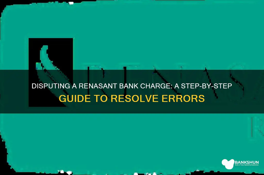 how to dispute a charge renasant bank
