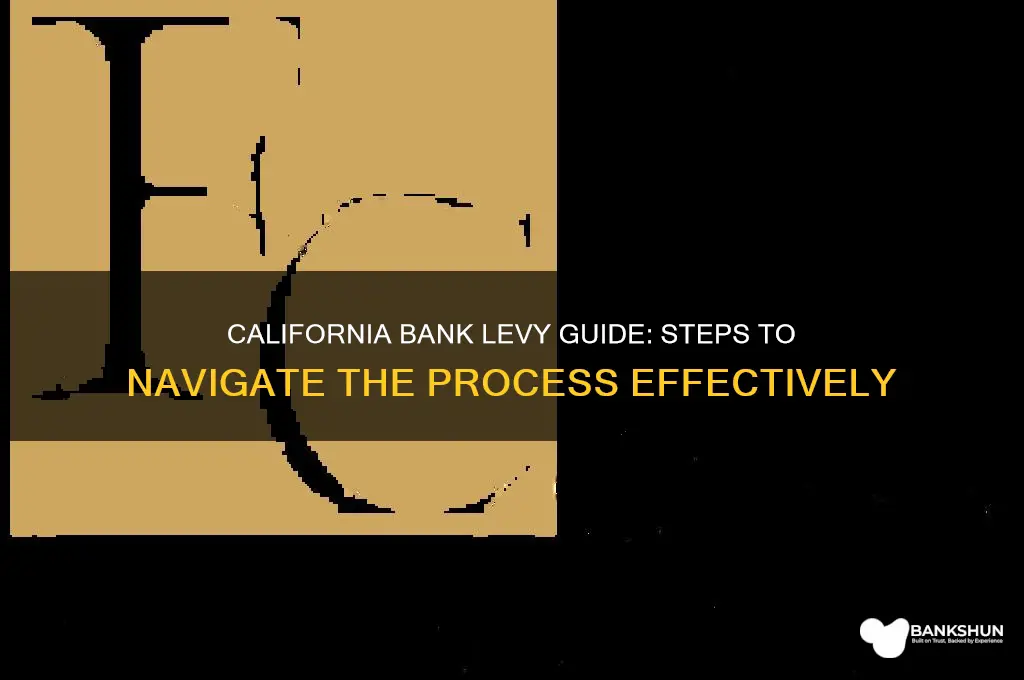 how to do a bank levy california
