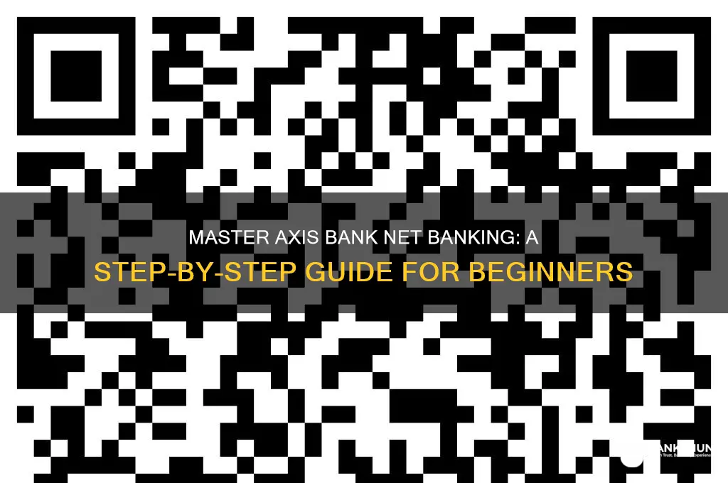 how to do axis bank net banking