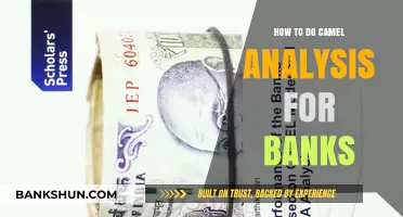 Mastering CAMEL Analysis: A Comprehensive Guide for Bank Assessment